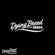 Dying Breed & Cookies Collab El Toro Pack